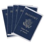 CLEAR PVC PLASTIC PASSPORT COVER - 5 PIECES for entire Family.